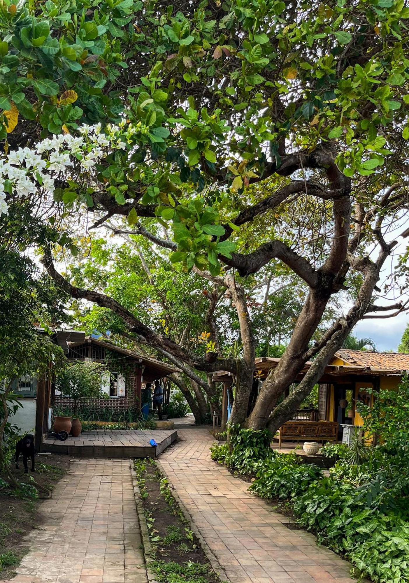 Vila Cizinho อิเตานัส ภายนอก รูปภาพ