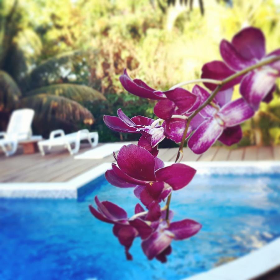 Vila Cizinho อิเตานัส ภายนอก รูปภาพ